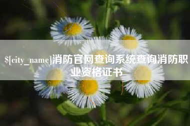 保定消防官网查询系统查询消防职业资格证书