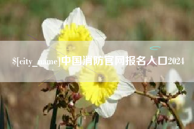 保定中国消防官网报名入口2024