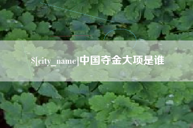 保定中国夺金大项是谁