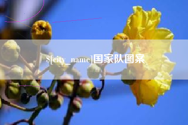 保定国家队图案