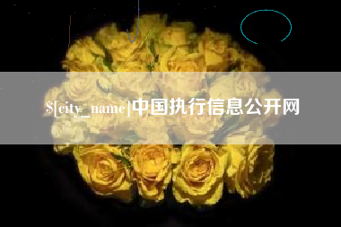 保定中国执行信息公开网