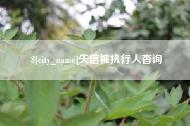保定失信被执行人杳询