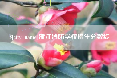 保定浙江消防学校招生分数线