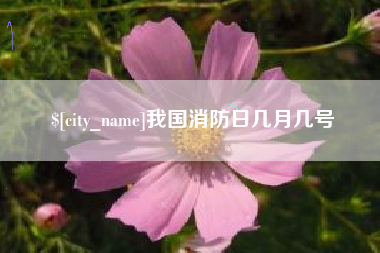 保定我国消防日几月几号