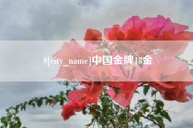 保定中国金牌18金