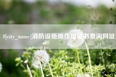 保定消防设施操作员证书查询网址
