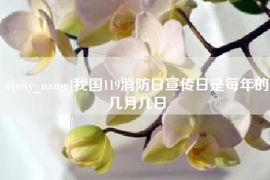 保定我国119消防日宣传日是每年的几月几日