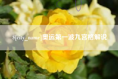 保定奥运第一波九宫格解说