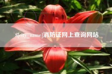 保定消防证网上查询网站