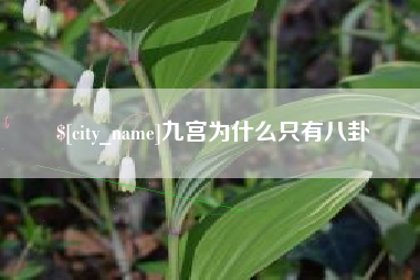 保定九宫为什么只有八卦