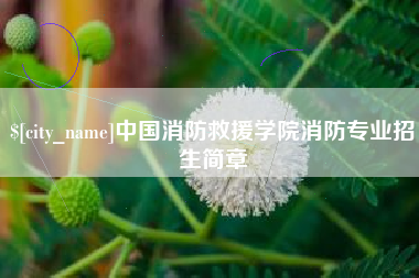 保定中国消防救援学院消防专业招生简章