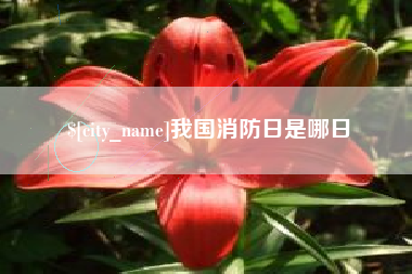 保定我国消防日是哪日