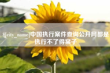 保定中国执行案件查询公开网都是执行不了得案子