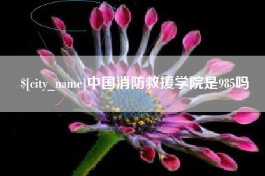 保定中国消防救援学院是985吗