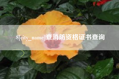 保定查消防资格证书查询
