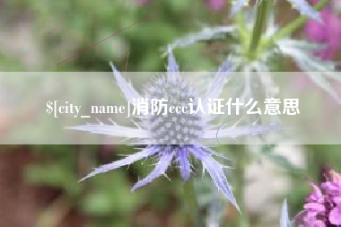 保定消防ccc认证什么意思