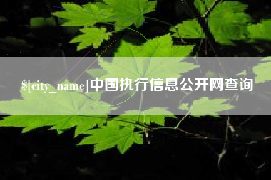 保定中国执行信息公开网查询