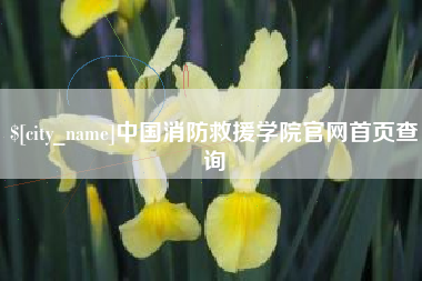 保定中国消防救援学院官网首页查询
