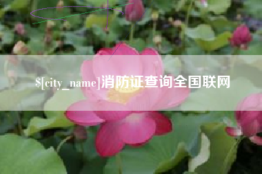 保定消防证查询全国联网
