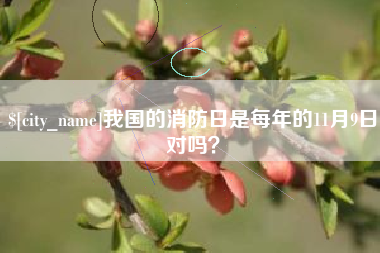 保定我国的消防日是每年的11月9日对吗？