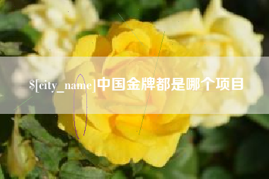 保定中国金牌都是哪个项目
