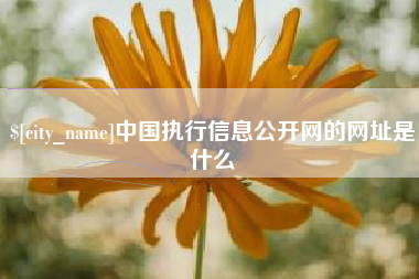 保定中国执行信息公开网的网址是什么