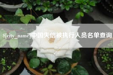 保定中国失信被执行人员名单查询