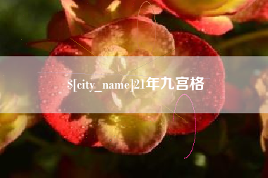 保定21年九宫格