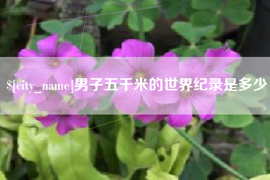 保定男子五千米的世界纪录是多少