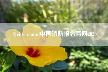 保定中国消防报名官网2020