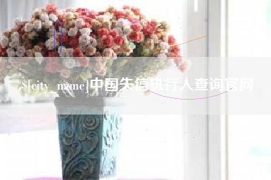 保定中国失信执行人查询官网