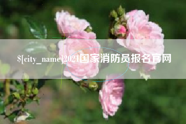 保定2021国家消防员报名官网