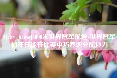 保定5000米世界冠军配速-世界冠军们往往能在比赛中巧妙地分配体力