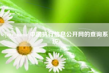 保定中国执行信息公开网的查询系统