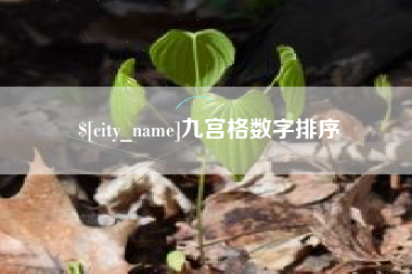 保定九宫格数字排序