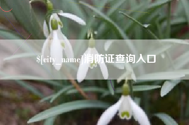 保定消防证查询入口