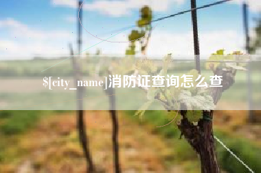 保定消防证查询怎么查