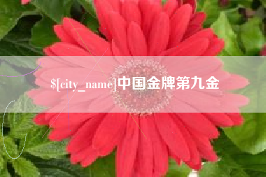 保定中国金牌第九金