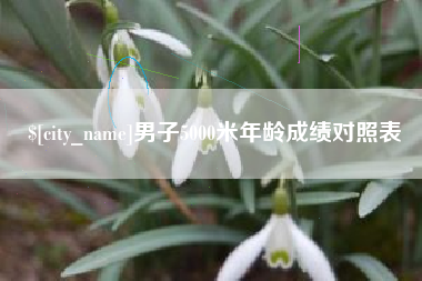 保定男子5000米年龄成绩对照表