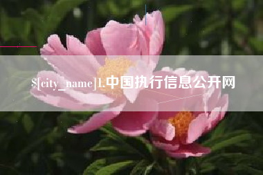 保定1.中国执行信息公开网