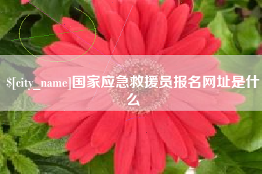 保定国家应急救援员报名网址是什么