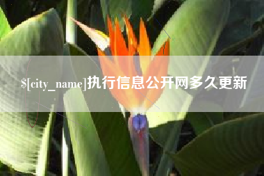 保定执行信息公开网多久更新