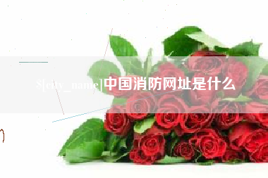 保定中国消防网址是什么
