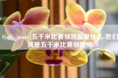 保定五千米比赛领跑员是什么-他们就是五千米比赛领跑员