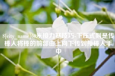 保定60米接力赛技巧-下压式则是传棒人将棒的前部由上向下传到接棒人手中