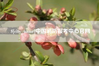 保定中国消防报考中心官网