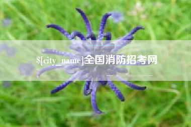 保定全国消防招考网