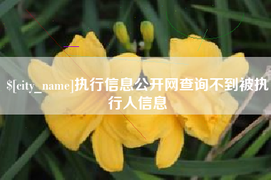 保定执行信息公开网查询不到被执行人信息