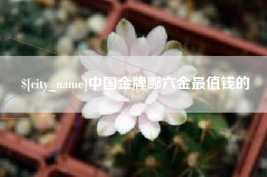 保定中国金牌哪六金最值钱的