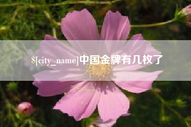 保定中国金牌有几枚了